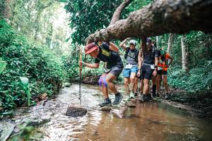 BIB: 
                            <button type="button" onclick="openModal(25371695)" class="btn btn-primary btn-sm float-right btn-popup" data-toggle="modal" data-target=".modal-high-quality">
                        <i class="fas fa-shopping-cart"></i> Add to Cart
                    </button>
                                            <button type="button" onclick="isThisMe(25371695, true)" class="btn btn-success btn-sm float-right btn-popup btn-isme hidden" data-toggle="tooltip" data-placement="bottom" title="นี่คือรูปของคุณใช่ไหม คลิกที่นี่เพื่อเอาเข้าอัลบั้ม">
                        <i class="fas fa-plus"></i> Add to album
                    </button>
                    <button type="button" onclick="isThisMe(25371695, false)" class="btn btn-warning btn-sm float-right btn-popup btn-isnotme hidden">
                        <i class="fas fa-ban"></i> Remove from album
                    </button>